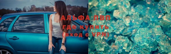 стаф Алексин