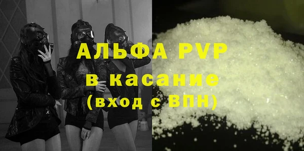 стаф Алексин