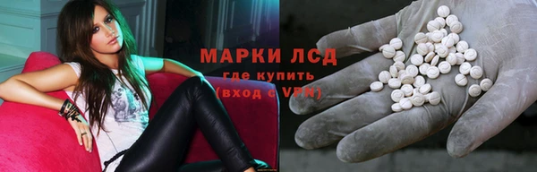 стаф Алексин
