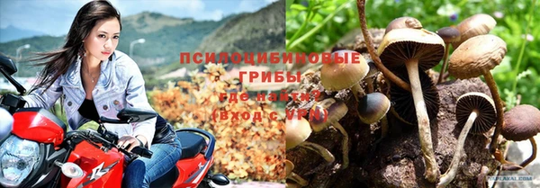 ГАЛЛЮЦИНОГЕННЫЕ ГРИБЫ Алексеевка